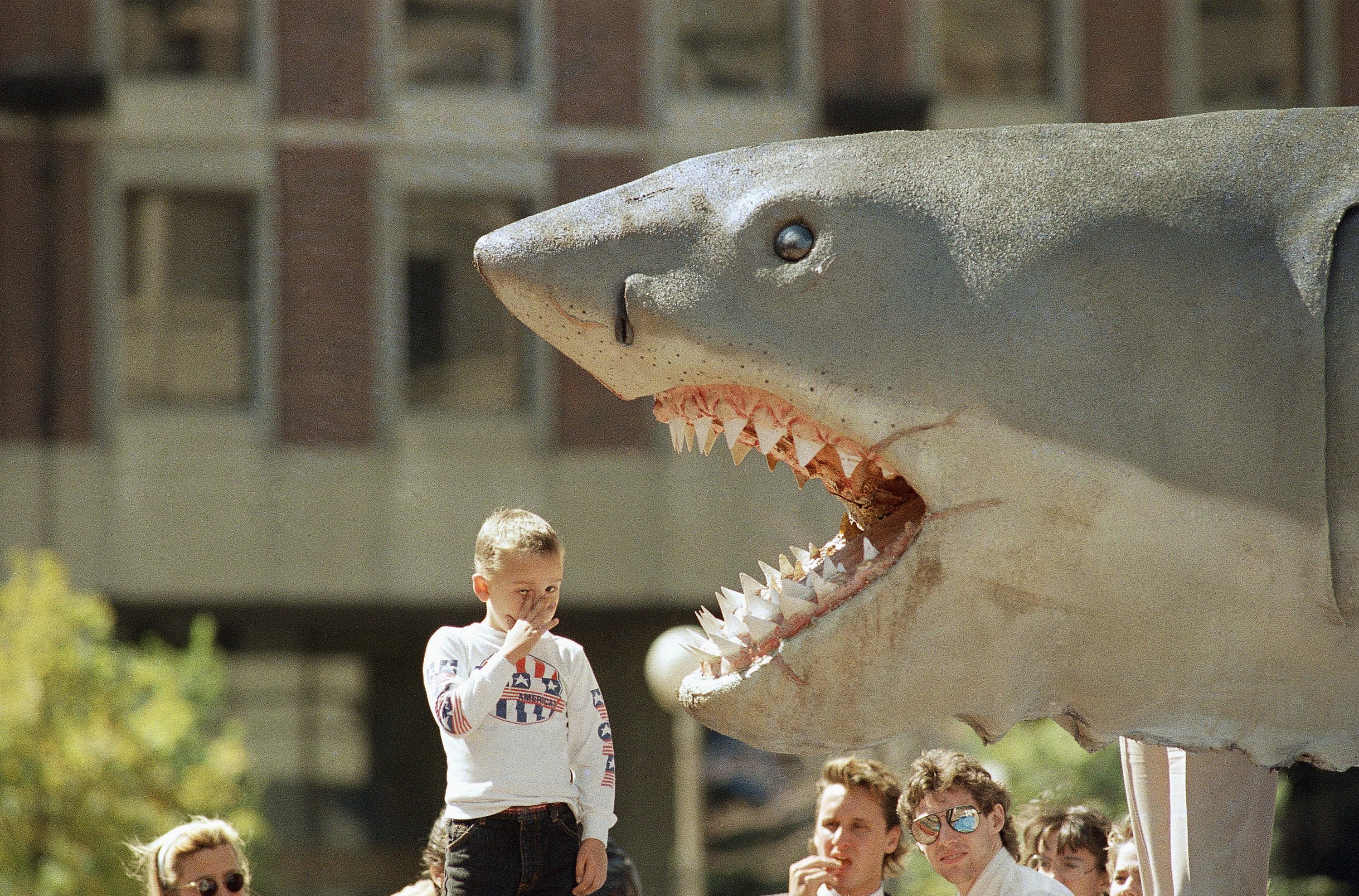Congressional Budget Process Is the Real Shark Eating U.S. Finances