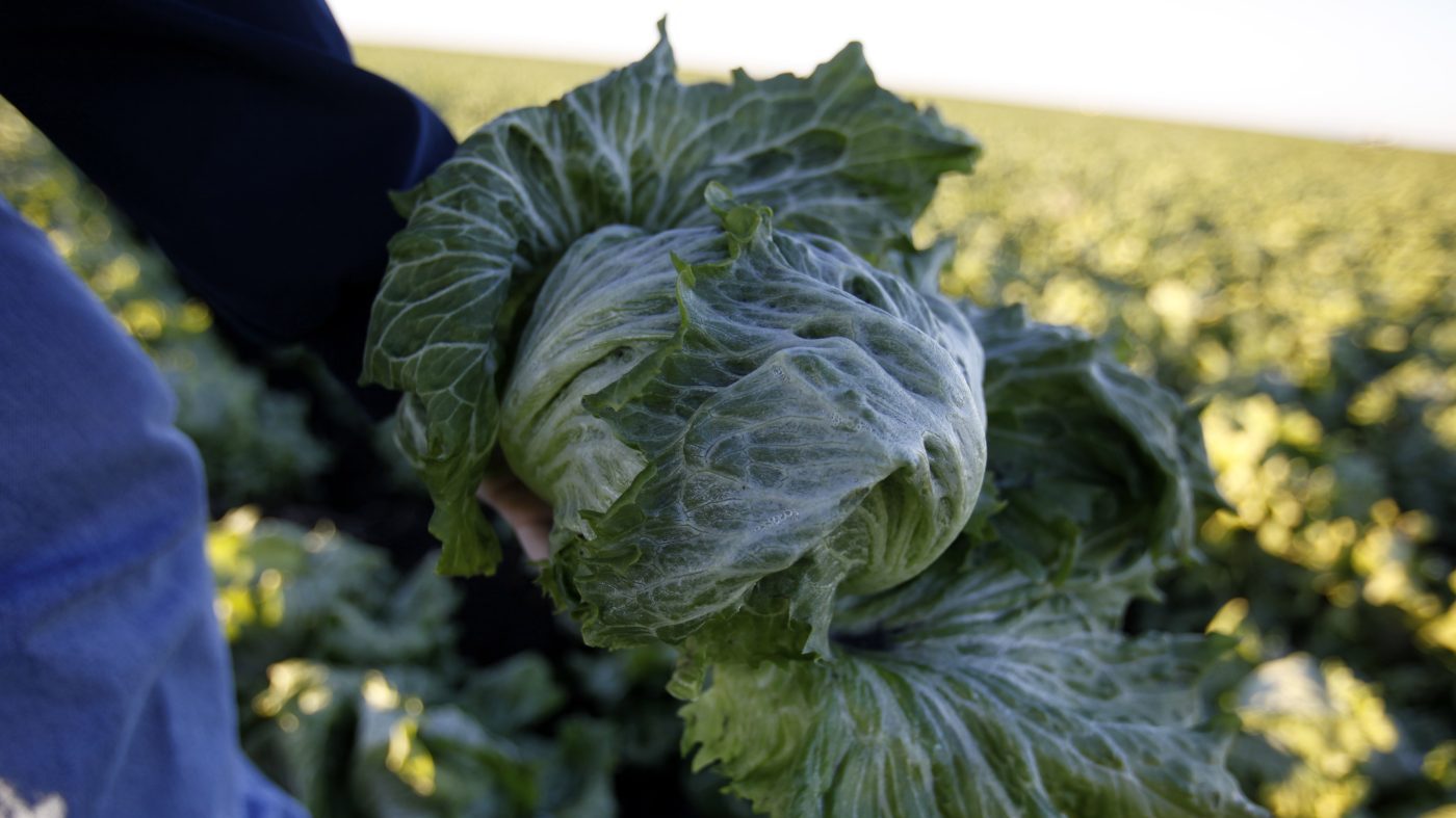 Cyclospora Outbreak from Mexican Lettuce Spreads to Nine States, FDA Says