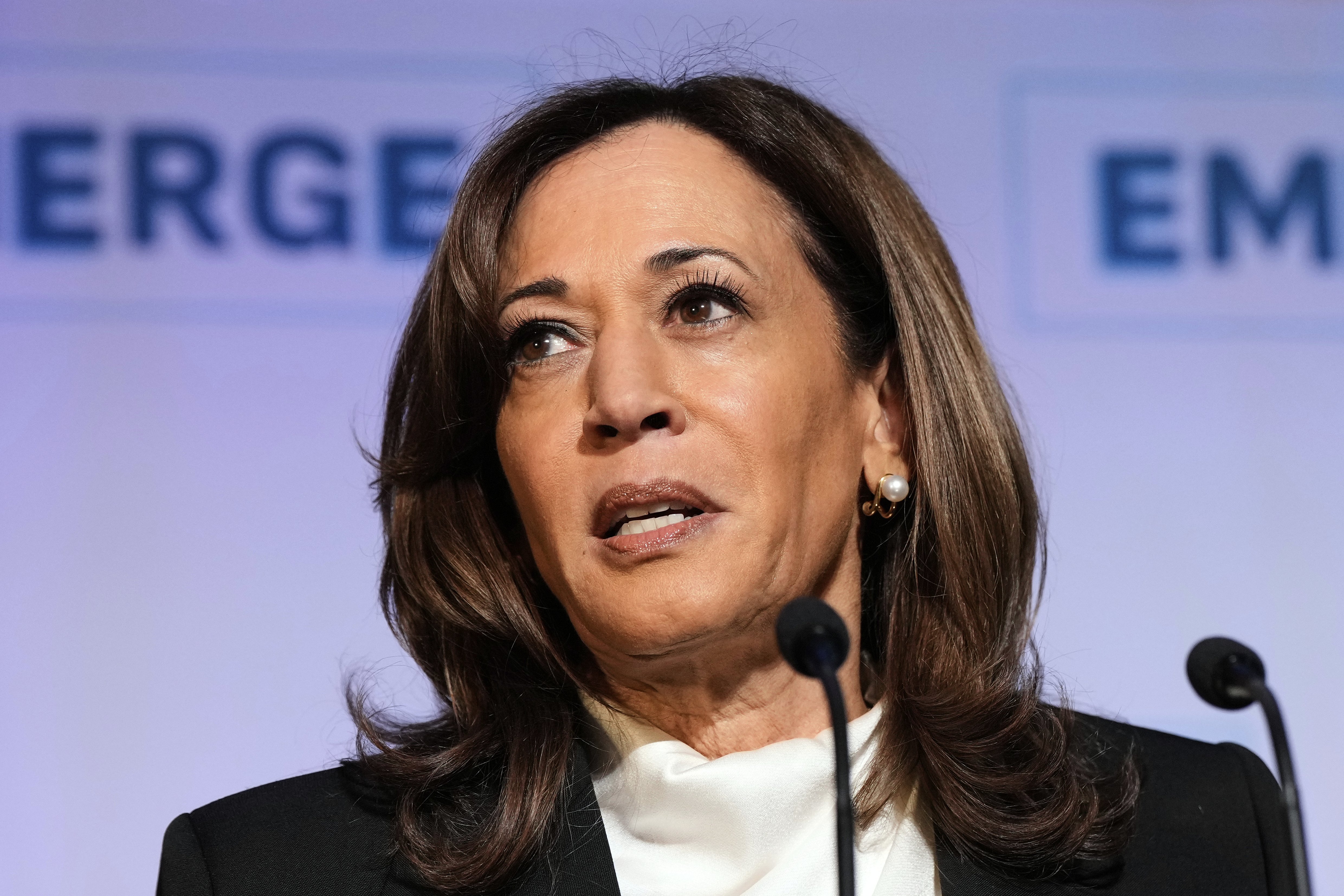 DNC Autopsy Blames Biden Team for Harris 2024 Defeat, Cites Research Failures