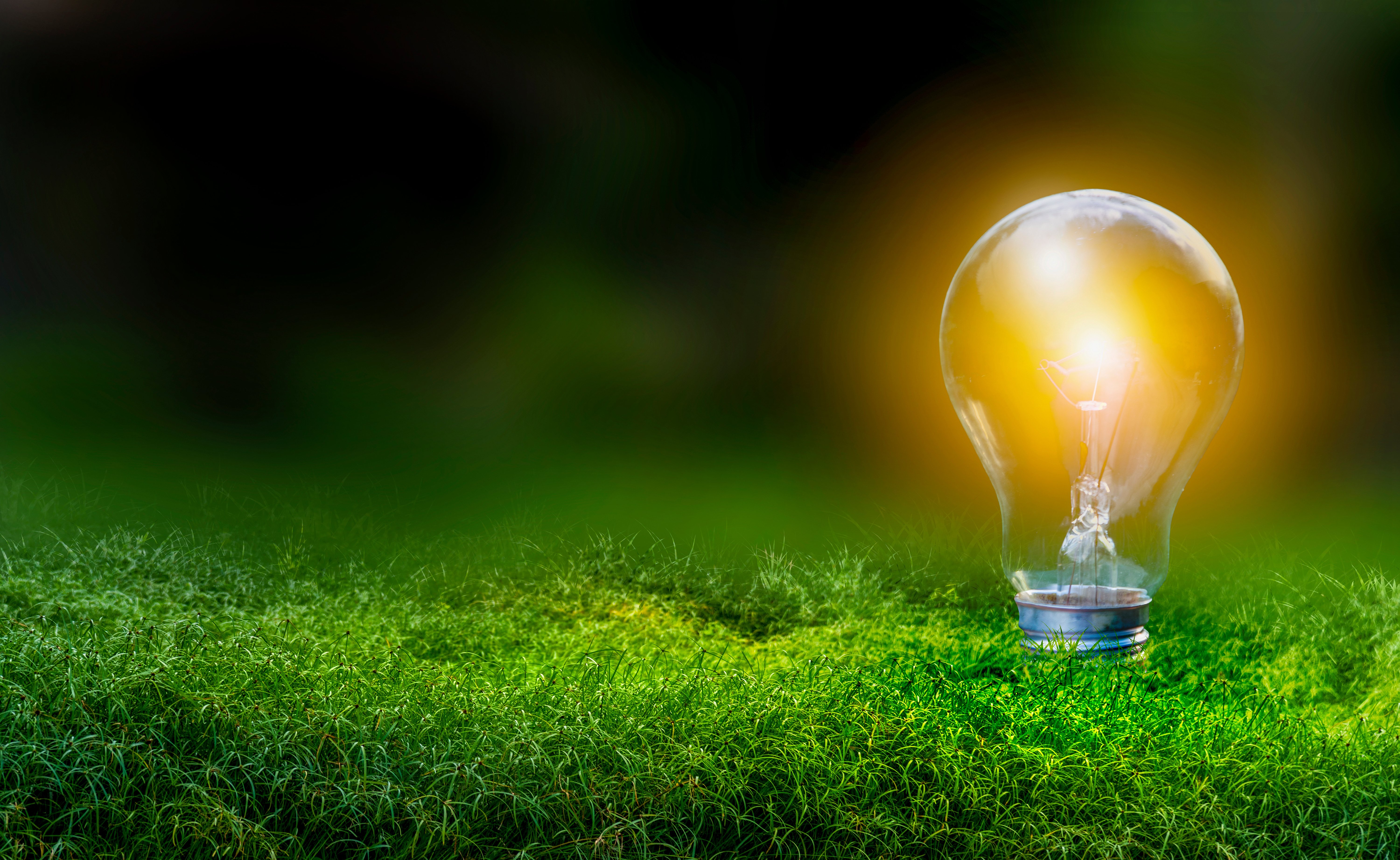Efficiency, Not Just Supply, Key to True Energy Abundance
