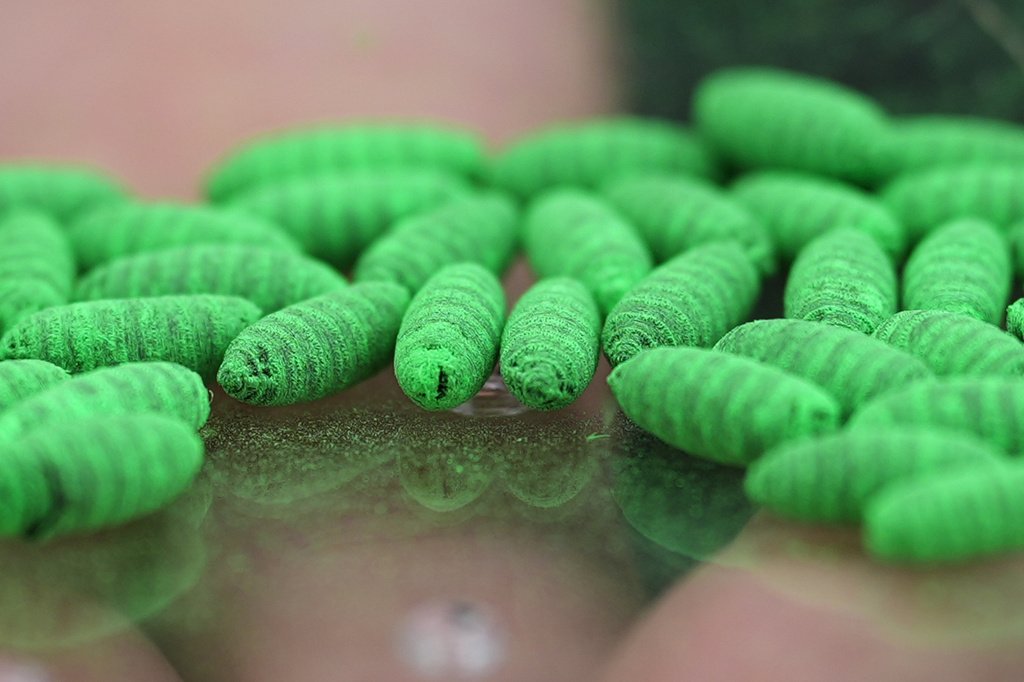 FDA expands emergency screwworm drug access as border cases hit 45