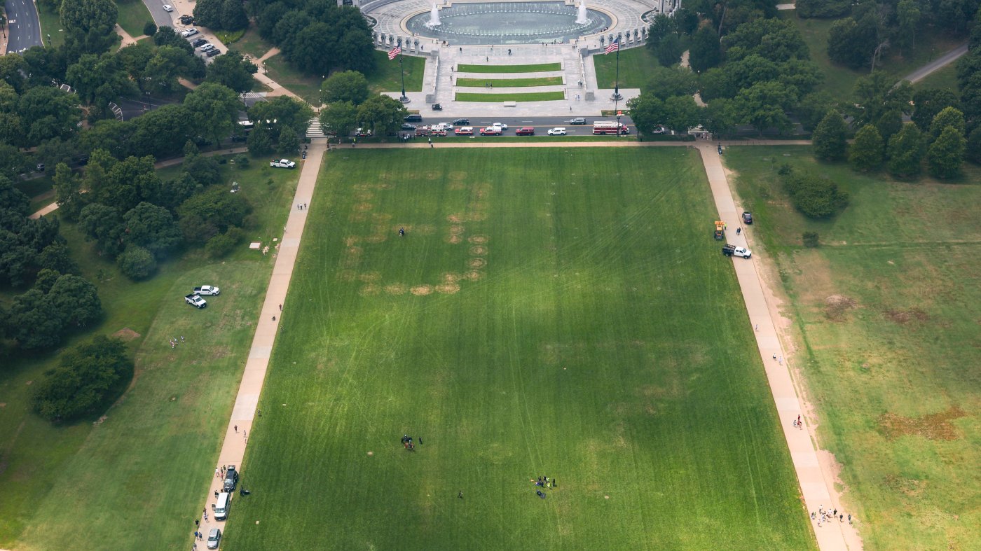 Grass Etching '86 47' on National Mall Sparks Trump Threat Probe
