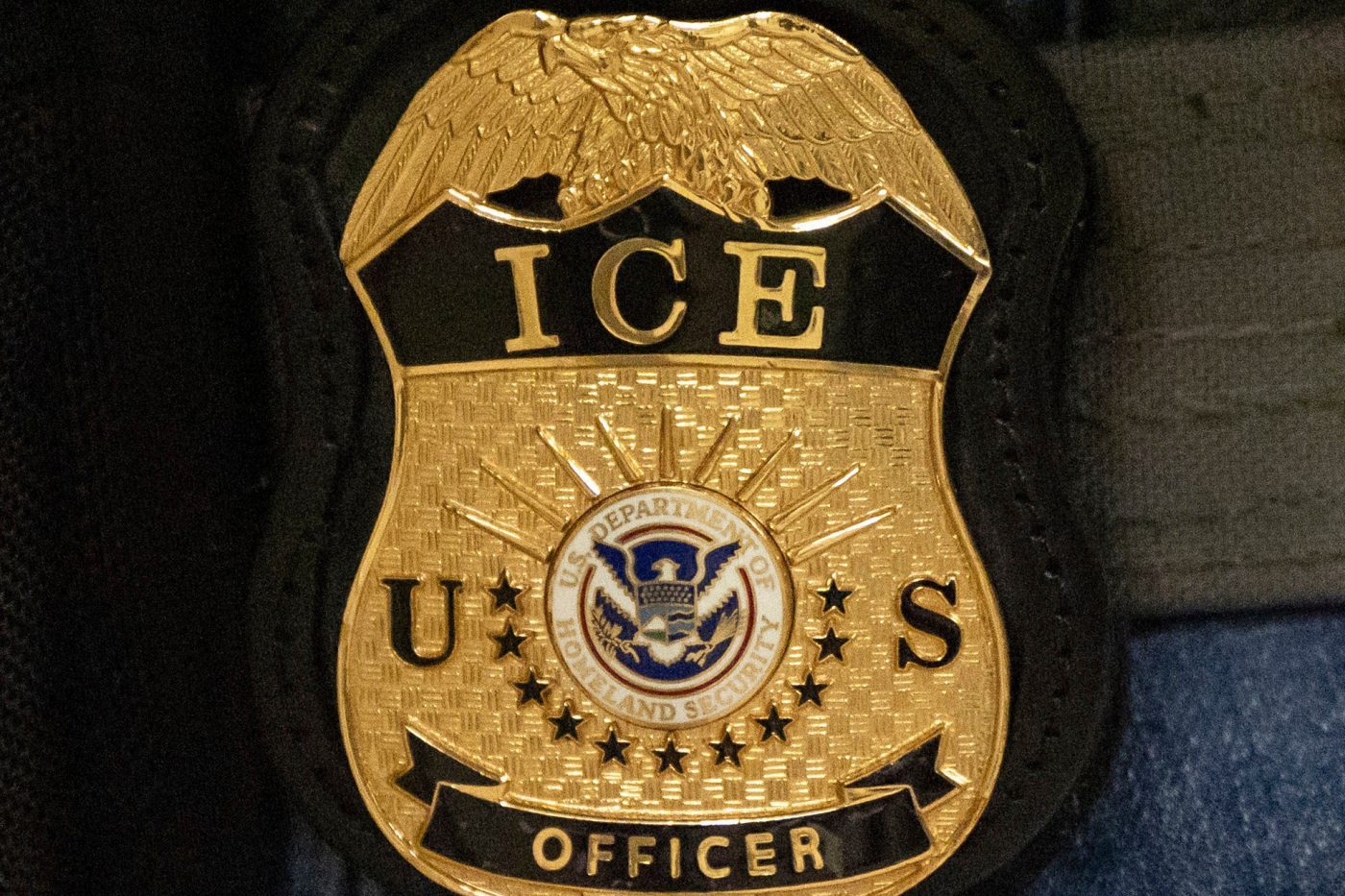 ICE Agent Arrested in Texas Over Minneapolis Shooting, Charged with Assault