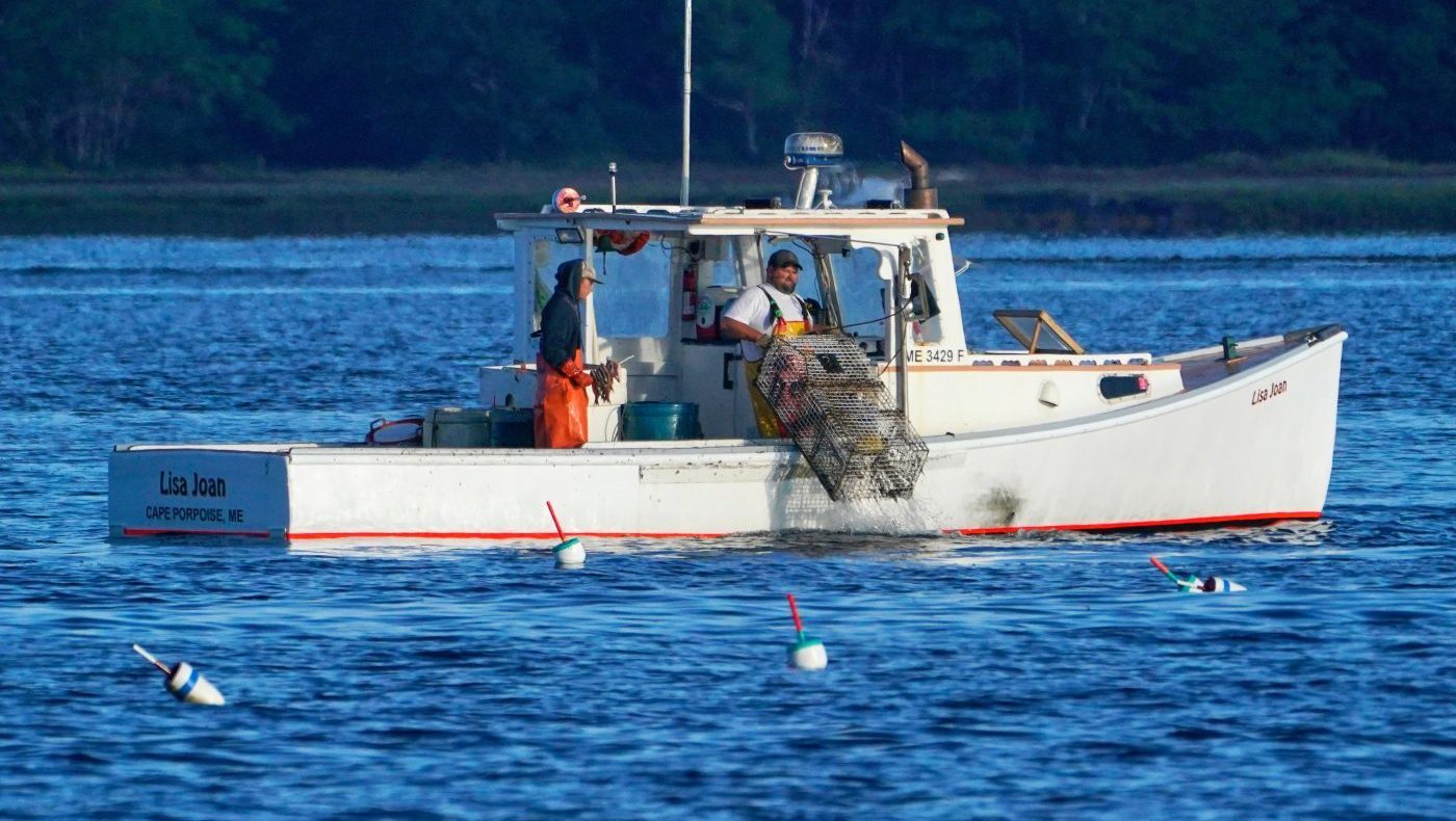 Maine Lobster Industry Warns of 'Collateral Damage' in US-Canada Tariff Spat