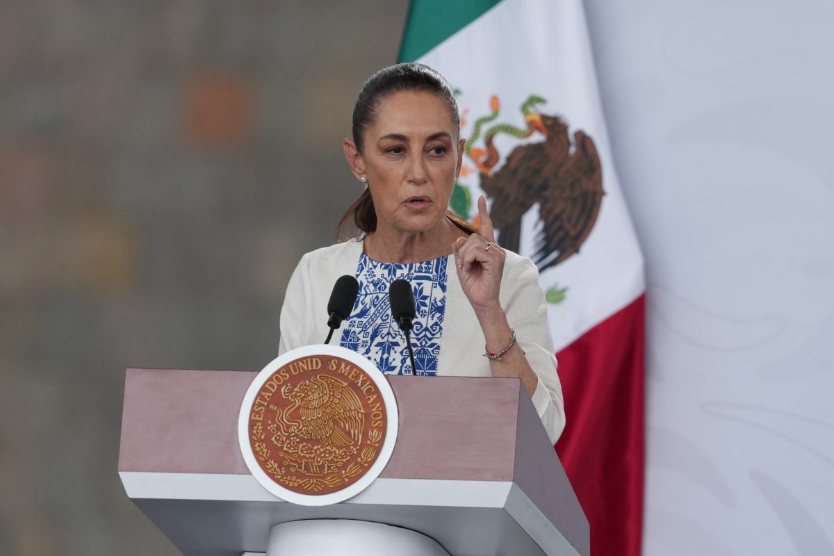 Mexico to File Criminal Complaints Over ICE Deaths After Houston Shooting
