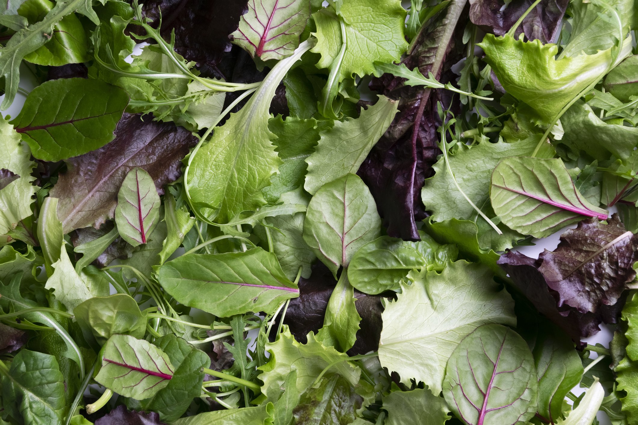 Michigan Parasite Outbreak Tied to Salad Greens as Cases Rise