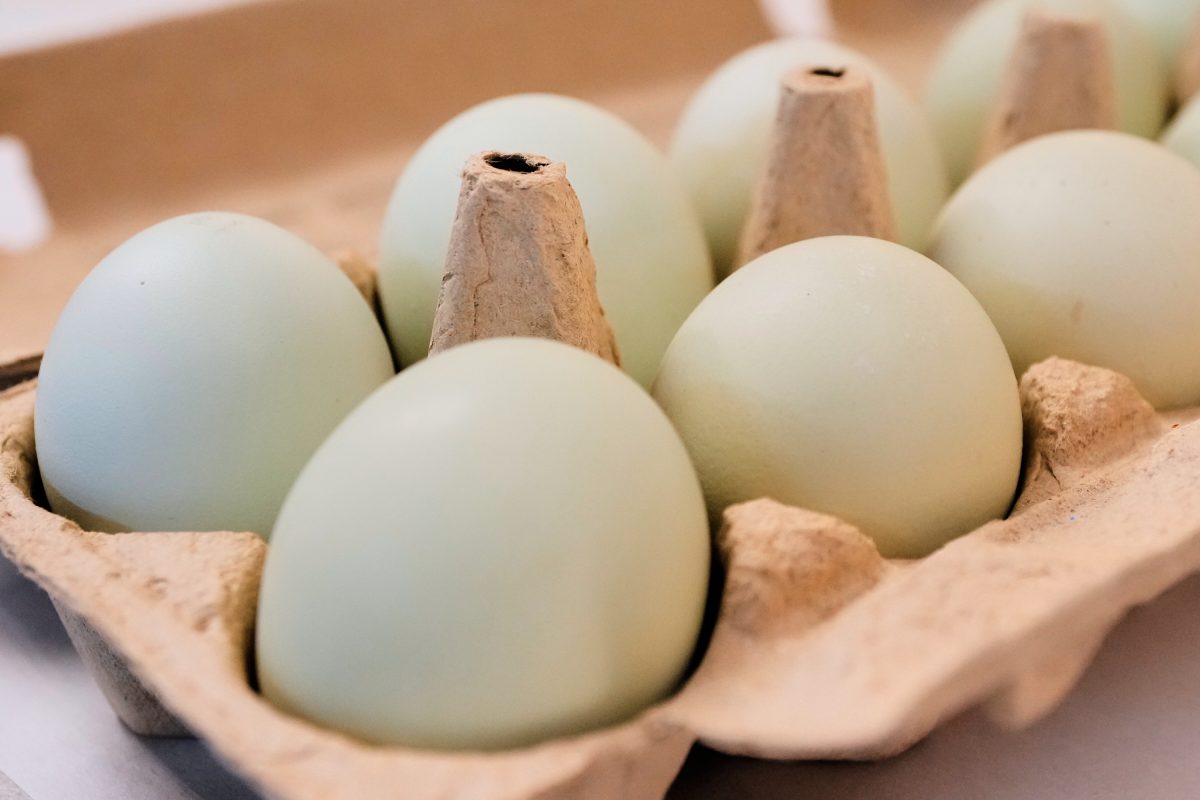 Midwest Poultry Recalls 1.6M Eggs Over Salmonella Enteritidis Risk