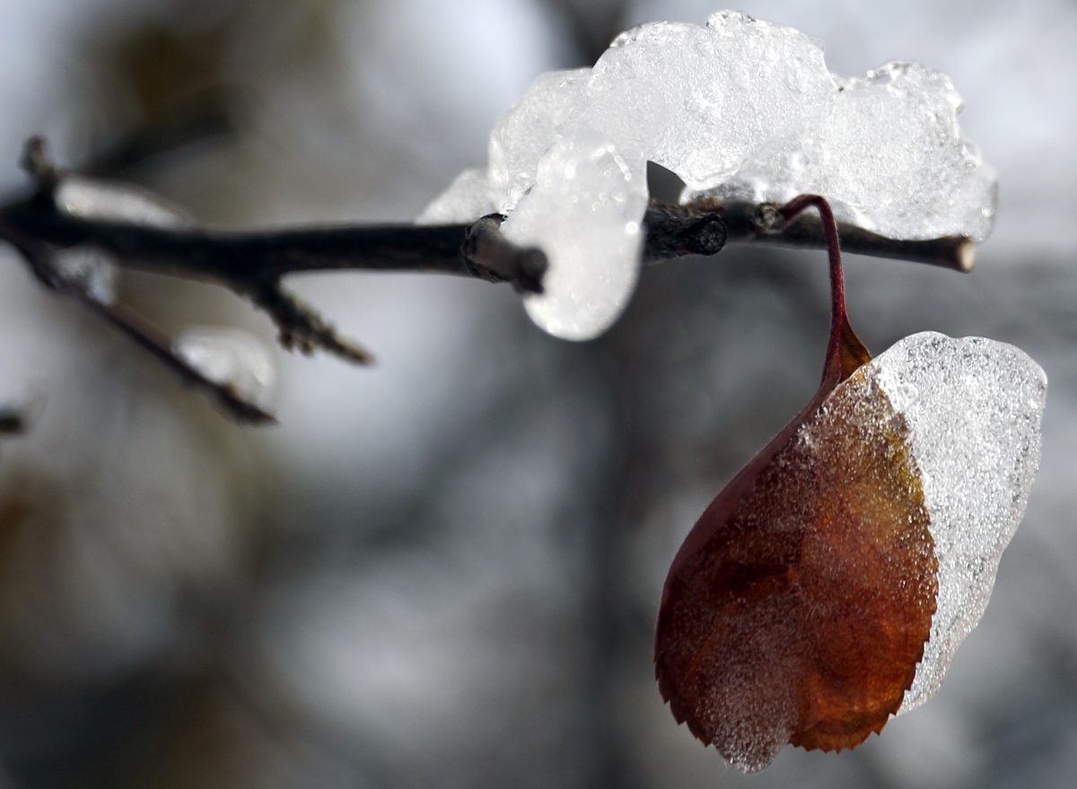 NOAA Forecast: Winter Split Between Warm, Dry South and Wet, Cold North