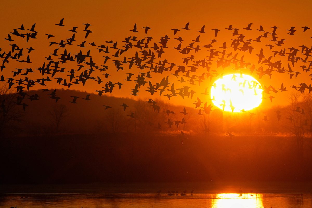 Permanent Daylight Saving Time Would Push Winter Sunrises After 8 AM in Many US Cities