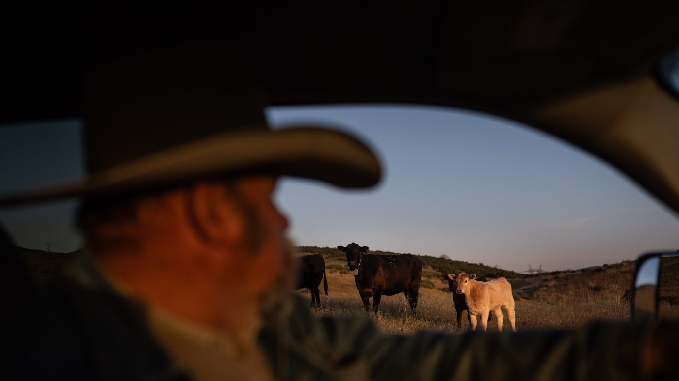 Ranchers' Trust in Trump Wavers Over Foreign Beef Imports