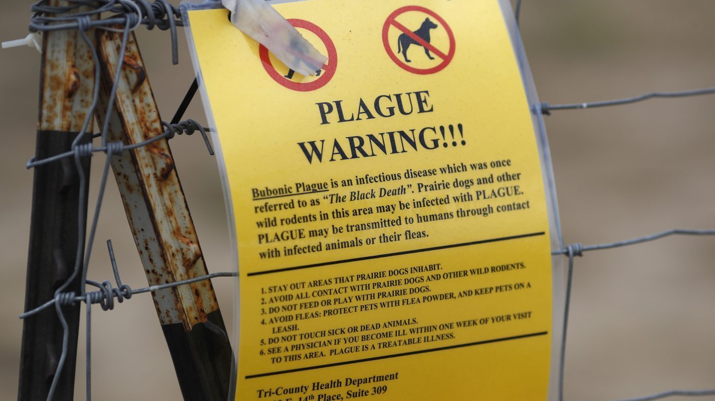 Russian Plague Lab Death Raises Global Watch, WHO Seeks Details