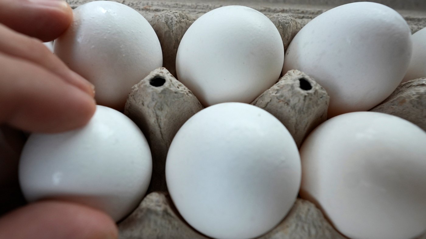 Salmonella Outbreak Linked to Texas Eggs Sickens 65 Across 17 States