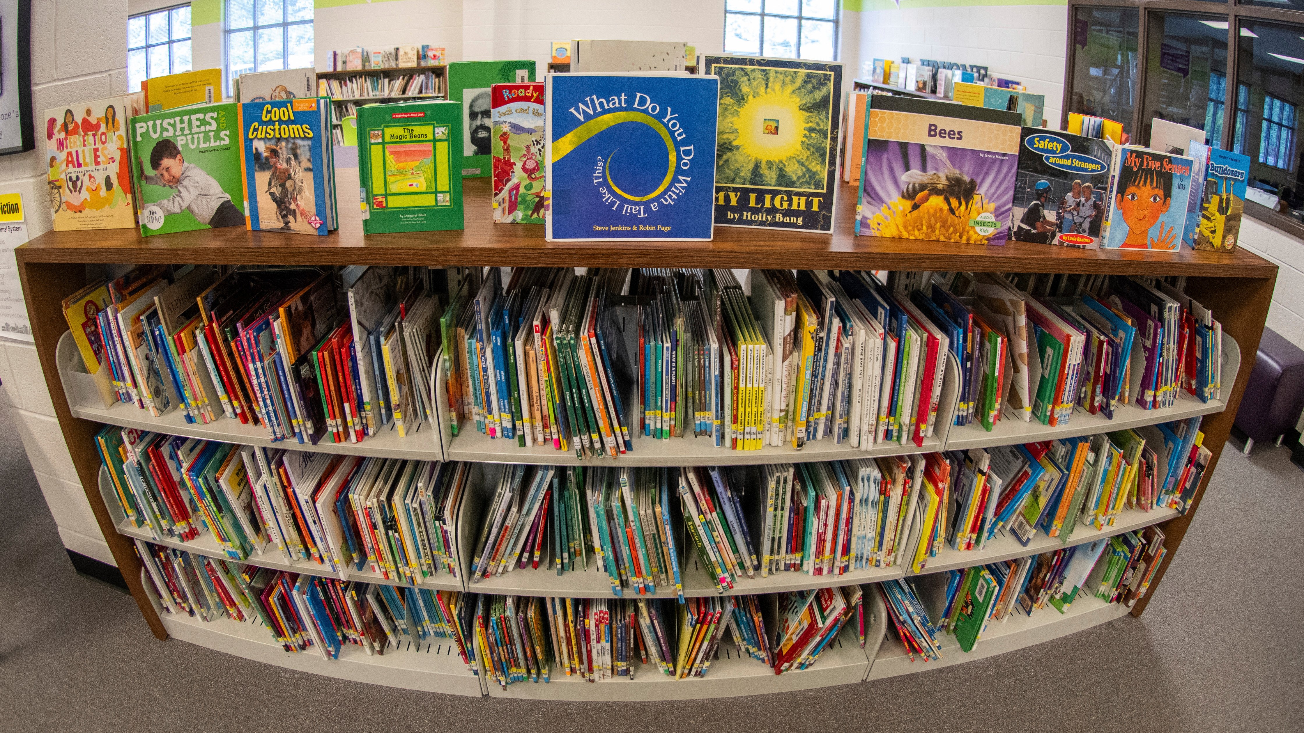 School Libraries Still Push Woke Agenda, ALA Conference Shows