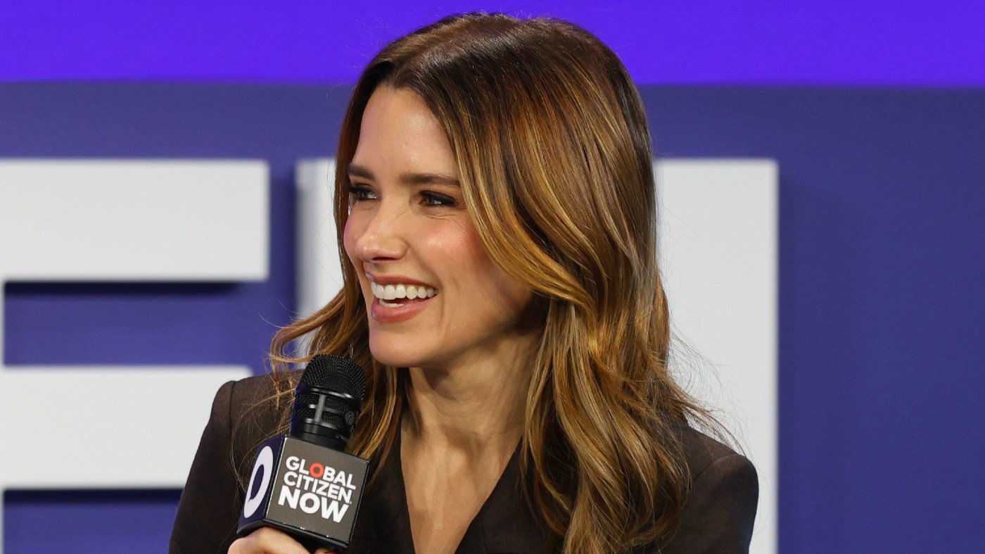 Sophia Bush: Midterms Are Chance for 'Blue Landslide'