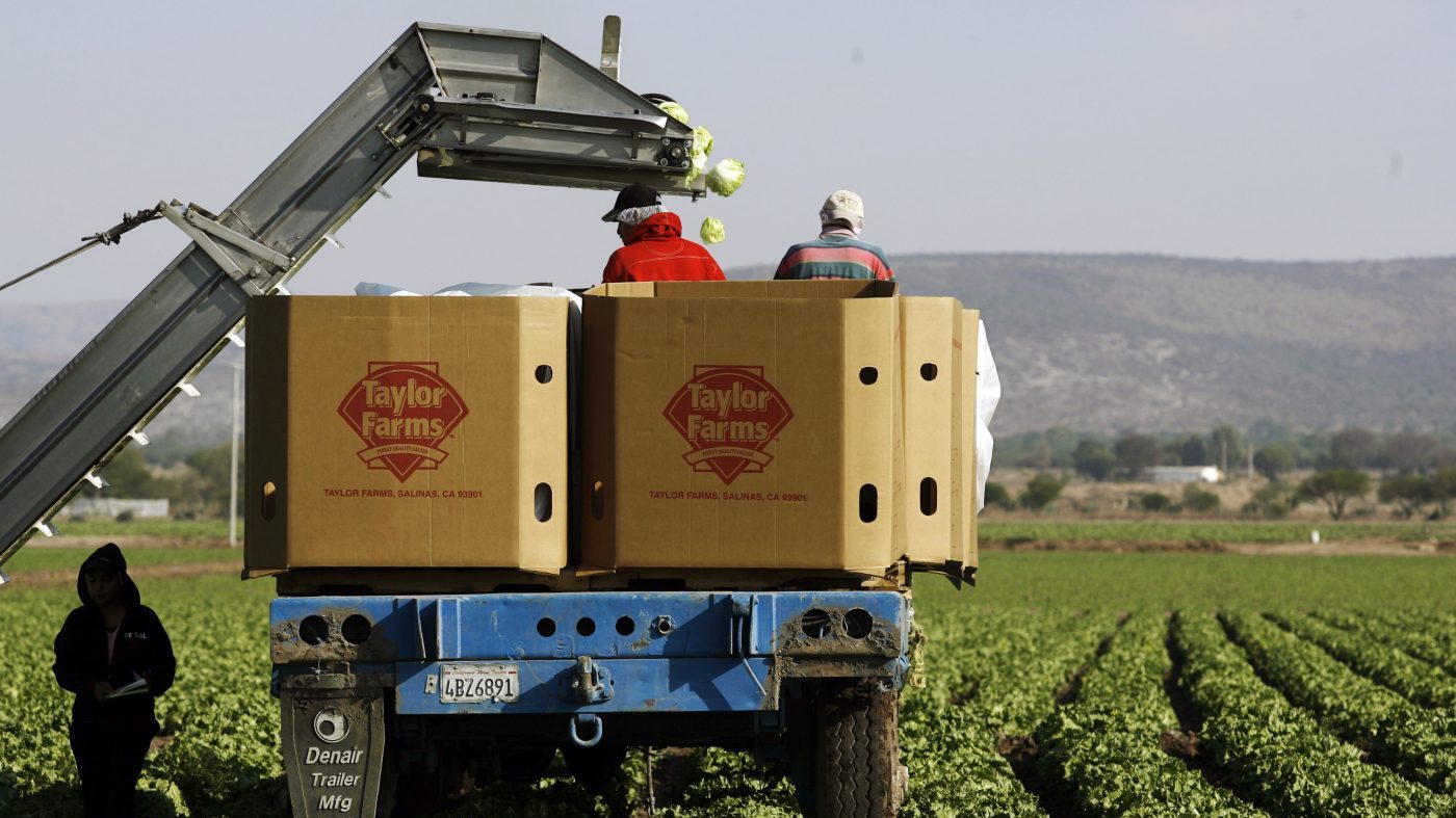 Taylor Farms Faces Twin Outbreaks: Cyclospora and Salmonella Recalls