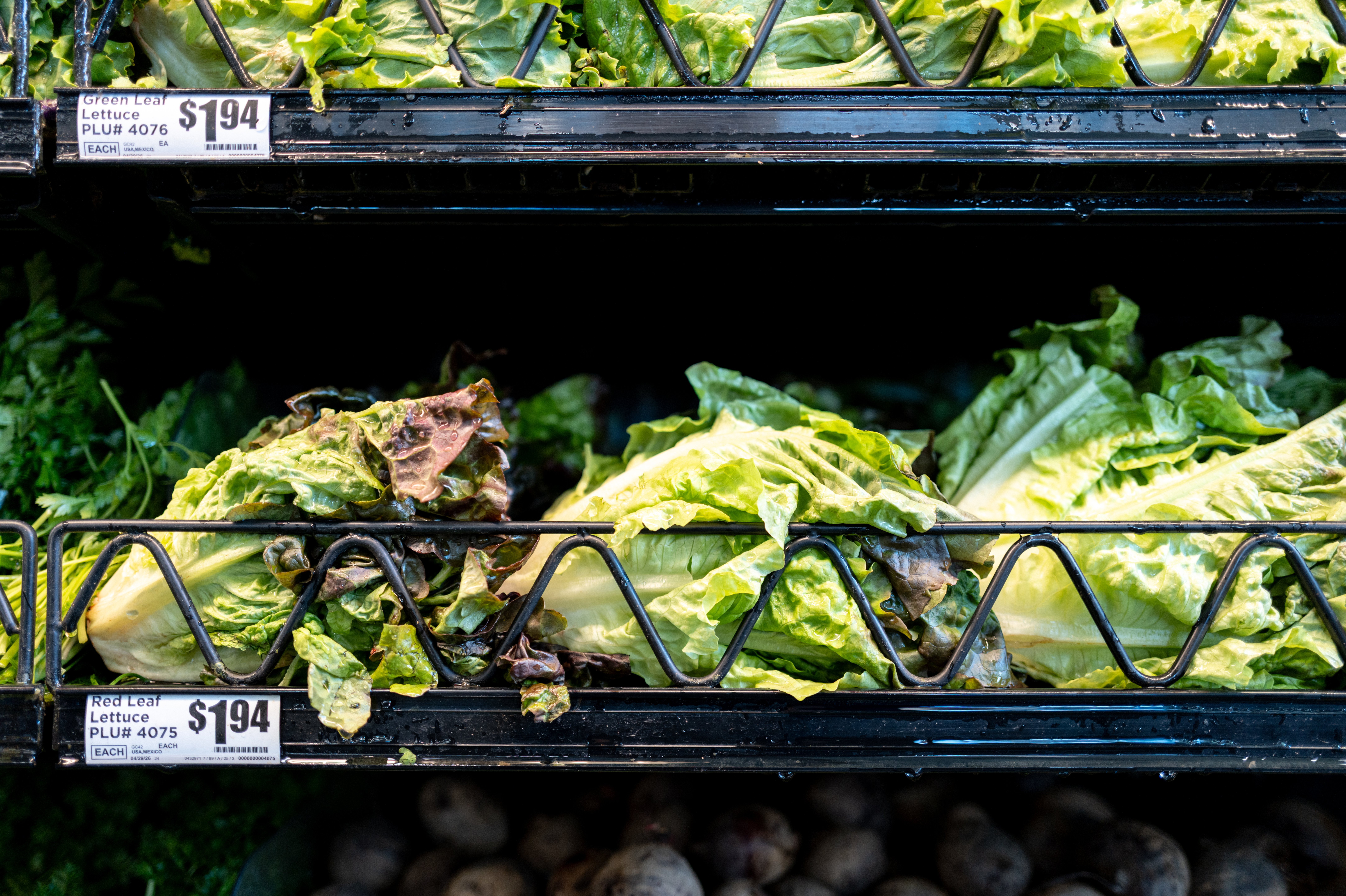 Taylor Farms Recalls Iceberg Lettuce as Cyclosporiasis Cases Top 1,600