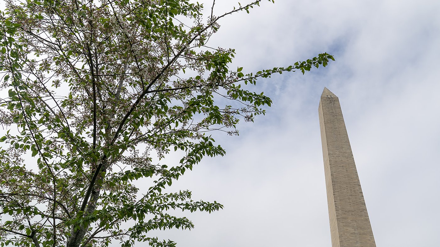 Texas Man Fires at Secret Service Near Washington Monument, Hits Bystander