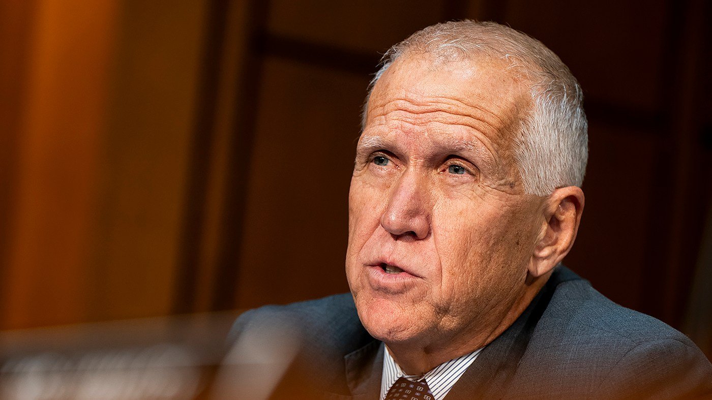 Tillis fears Trump could lash out if GOP loses midterms