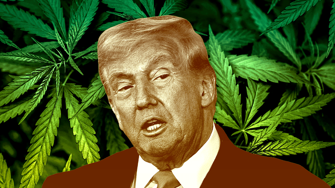Trump’s Drug Policy Shift: From War on Drugs to Psychedelic Research