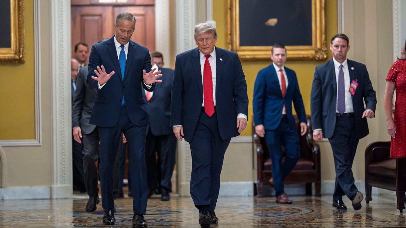 Trump's Feud with Senate GOP Hands Democrats a Strategic Opening