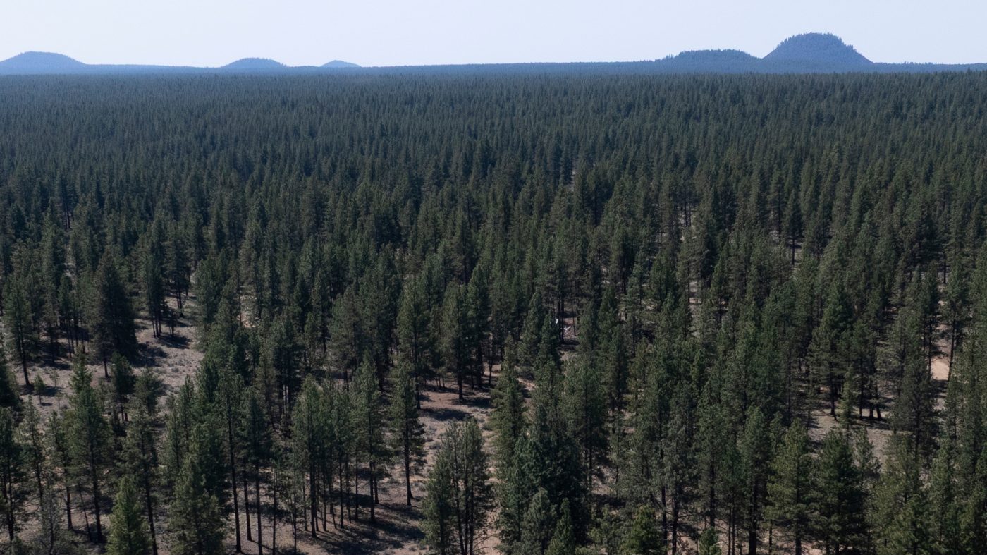 US Forest Service Moves to End Roadless Protections on 44M Acres