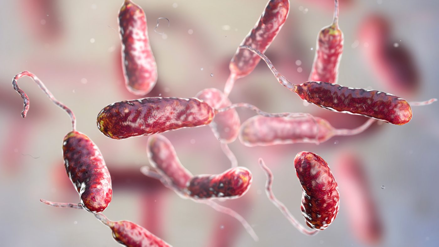 Warming Oceans Push Flesh-Eating Bacteria Into New Coastal Regions