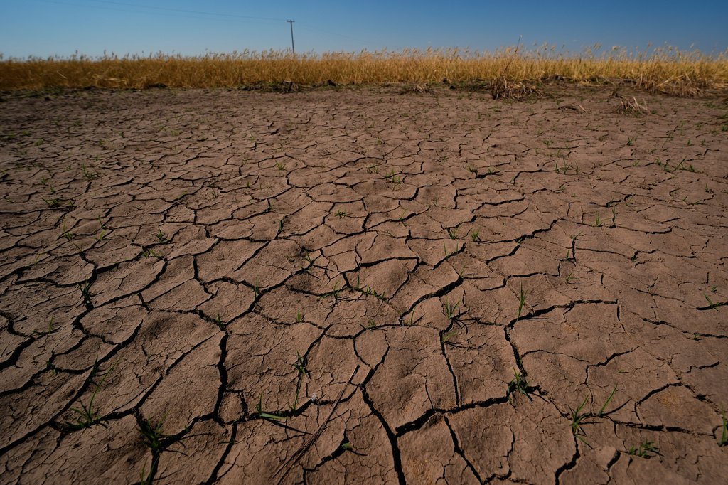 Western Drought Threatens 'Mini Dust Bowl' as El Niño Looms, Expert Warns